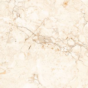 Digital Glossy Series