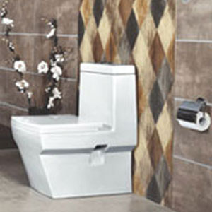 One Piece Water Closet