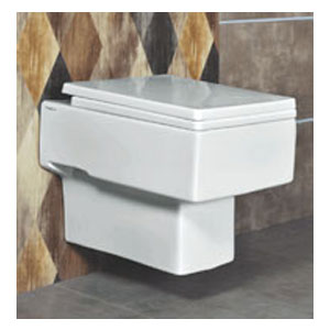 Wall Hung Water Closet