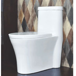 One Piece Water Closet