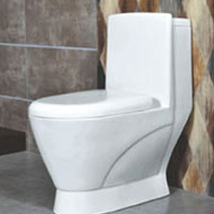One Piece Water Closet