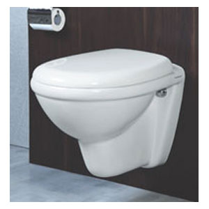 Wall Hung Water Closet