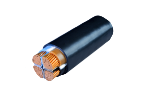 ARMORED AND UNARMORED CABLES WITH CU AND AI CONDUCTORS
