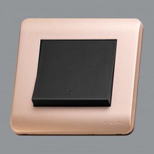 Orange Double Pole Switch with Indicator - Gold Matte