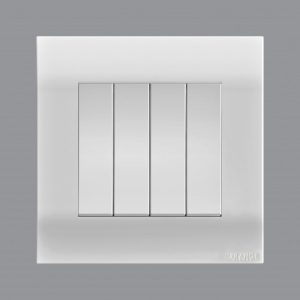 AKOYA Series Switch 1W Special 4G 10A